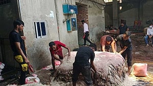 সাভারে চামড়া কম আসছে, দাবি ট্যানারি মালিকদের