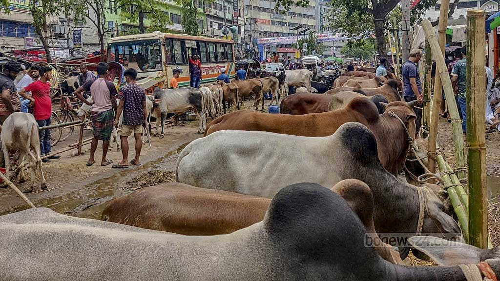 পুরানা ঢাকায় ধোলাই খাল এলাকার পশুর হাট।