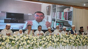 Mirza Abbas ‘yet to understand second republic’