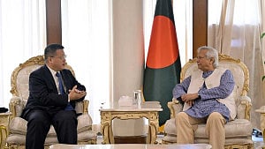 Solar panel maker Longi to invest in Bangladesh