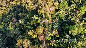Rare wildlife sanctuary thrives in remote Khagrachhari forest