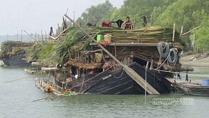 ‘ঘুষের খরচ’ পোষাতে সুন্দরবনে বেপরোয়া বনজ সম্পদ আহরণ
