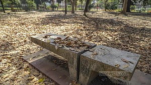 পাতা ঝরার দিনে