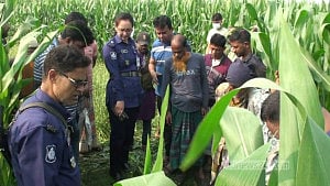 নাটোরে ভুট্টা ক্ষেতে পড়ে ছিল যুবকের রক্তাক্ত লাশ
