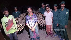 3 held for smuggling timber from Sundarbans