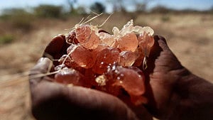 How a key ingredient in Coca-Cola, M&M's is smuggled from Sudan
