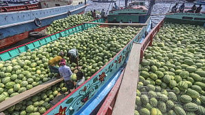 Watermelons pour into Waisghat