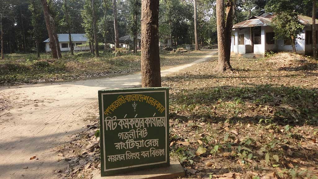 বনবিভাগ কোনোভাবেই অগ্নিকাণ্ডের দায় এড়াতে পারে না।