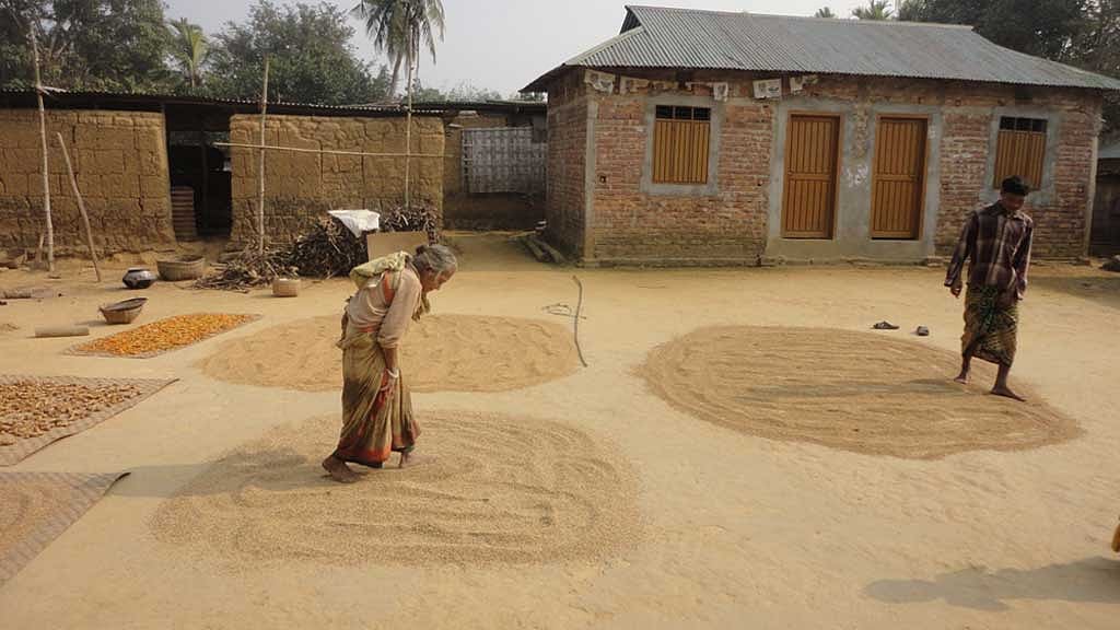 পোড়াবিনি ও তুলসিমালার মতো ধানের অন্যতম ক্ষেত্রে সীমান্তবর্তী শালবন অঞ্চল। এখান থেকে টাঙ্গাইল শাড়ি তৈরির প্রয়োজনীয় পোড়াবিনি ধানের খই যেত টাঙ্গাইলের পাথরাইলে।