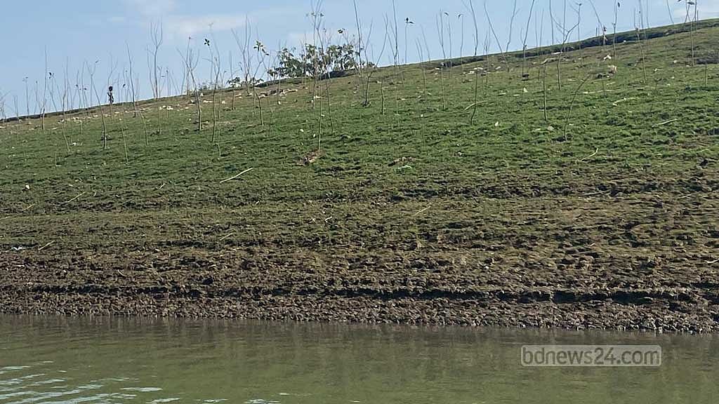 মওসুম ছাড়া যেসব বৃক্ষ লাগানো হচ্ছে তাও বাঁচানো সম্ভব হবে না।