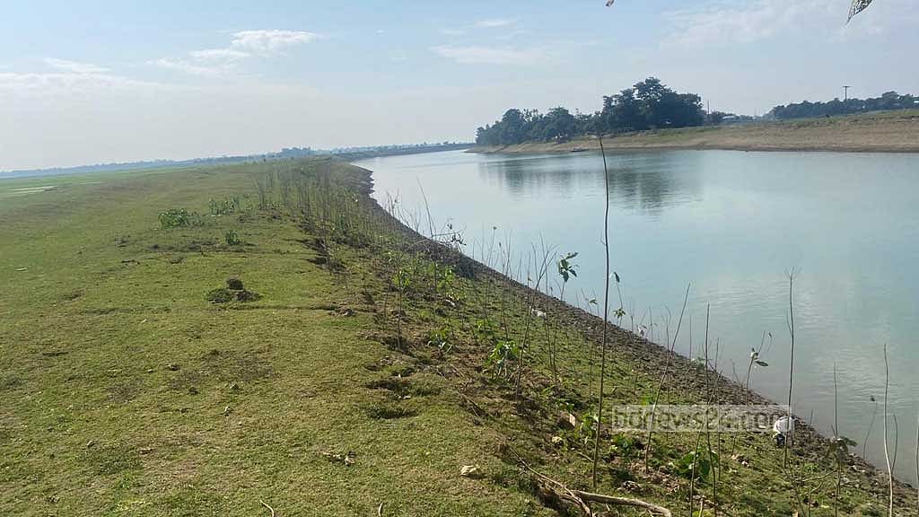 লাগানোর পর ছয় মাস বৃক্ষ বেঁচে থাকলে তবেই ঠিকাদার বিল পাওয়ার কথা। কিন্তু এখানেও সঠিক নজরদারি হচ্ছে না বলে অভিযোগ উঠেছে।