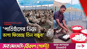 ভ্রাম্যমাণ হাঁসের খামারে মাসিক আয় ২ লাখ টাকার বেশি