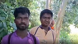 BGB releases Indian detainees, BSF Bangladeshis