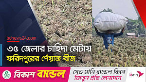 ফরিদপুরের ‘কালো সোনা’; স্বপ্ন দেখাচ্ছে ৫০০ কোটি টাকা বাণিজ্যের