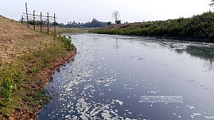 Industrial waste poisons Sutang River, threatens Habiganj’s farmers