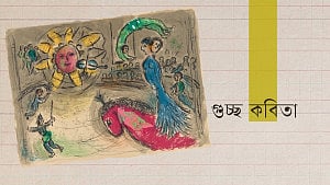 চাণক্য বাড়ৈ’র বৃষ্টি, বই ও অন্যান্য