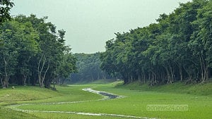 পাগনার হাওরের সৌন্দর্য করচ বাগান