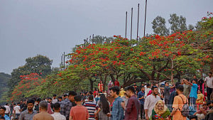 জিয়া উদ্যানে ঢল, কৃষ্ণচূড়ায় মুগ্ধ দর্শনার্থীরা