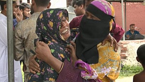 কুষ্টিয়ায় একদিনে সাপের কামড়ে দুজনের মৃত্যু, আলোচনায় রাসেলস ভাইপার