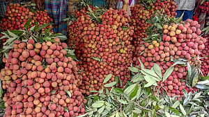 সুস্বাদু মাদ্রাজি লিচুর সঙ্গে বাজারে অপরিপক্ক বেদানা-বোম্বাই