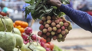 Markets buzz with fresh summer fruits