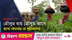 মৌলভীবাজারের সজীব চা বাগানে, নির্জীব শ্রমিকের জীবন