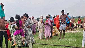 Over 100 cattle swept away in Munshiganj tide