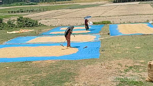 ‘গরমে রাস্তার পিচ গলে যাচ্ছে, শরীর জ্বলতাছে’