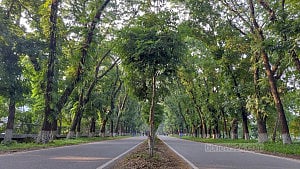 Shahjalal's scenic 'Kiloroad'