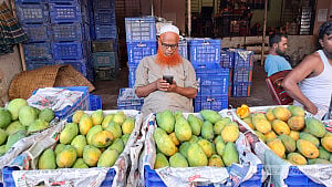 বাজারে গ্রীষ্মের ফল, উত্তাপ দামে