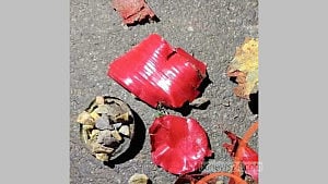 Bomb explodes in Dhanmondi