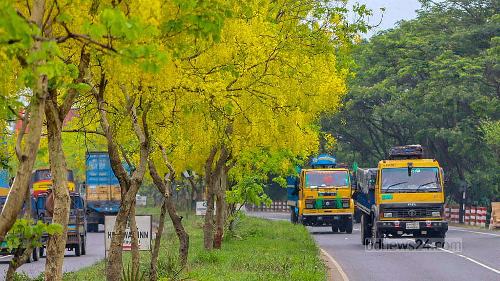 হলুদ সোনালুতে অপরূপ রুপে সেজেছে মহাসড়ক। 