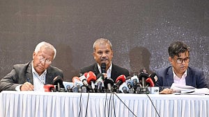 Referendum to brighten up monochrome national poll