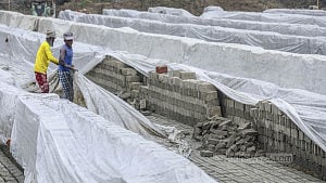 Brick kilns hit by early-season damage