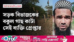 ঢাকা-চট্টগ্রাম মহাসড়কে বকুলগাছ কেটে ফেলায় ক্ষোভ