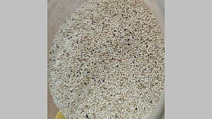 Banned poppy seeds seized in Pakistan shipment
