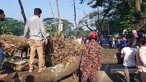 মাদারীপুরে গাছ ফেলে সড়ক অবরোধ, ৪ ঘণ্টা যান চলাচল বন্ধ