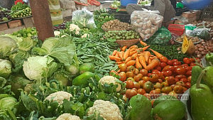 Fresh winter vegetables harsh on the purse