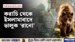 আদালতের নির্দেশে করাচি থেকে ইসলামাবাদে গেল ভালুক ‘রানো’