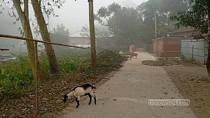 পঞ্চগড়ে জেঁকে বসেছে শীত, পারদ নেমেছে ১৩ ডিগ্রিতে