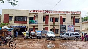 কালোজিরা ভেবে পিঠায় ‘দানাদার কীটনাশক’ দিলেন বৃদ্ধা, হাসপাতালে ১১ জন