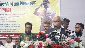 ভূমিকম্প: সরকারকে এখনই করণীয় ঠিক করতে বললেন বিএনপির জাহিদ
