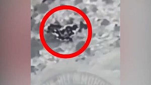 আফগান সীমান্তে ৩০ জনেরও বেশি ‘অনুপ্রবেশকারীকে’ হত্যার দাবি পাকিস্তানের