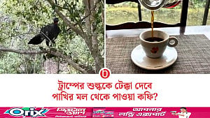 পাখির মলে মিলছে সুস্বাদু কফি, আশার আলো দেখছে ব্রাজিল