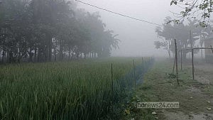 ভোরে ঘন কুয়াশায় ঢাকা পড়ছে পঞ্চগড়ের পথঘাট