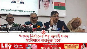 ঐকমত্য কমিশন বিভেদ সৃষ্টি করছে: সালাহউদ্দিন