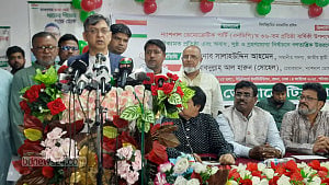 BNP won’t bow to any party's will: Salahuddin