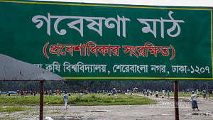 Children playing around in field with 'restricted access'