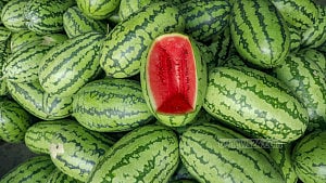 ‘Off-season’ watermelon
