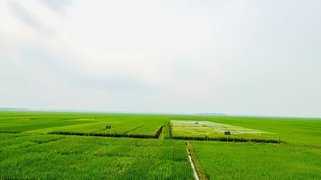 মালয় ভাষায় ‘সেকিন’ অর্থ একটি এবং ‘চান’ অর্থ ক্ষেত্র বা ব্যাপক। ধারণা করা হয়, এই নামটি এলাকার বিস্তৃত কৃষিক্ষেতের ইঙ্গিত দেয়, যা এই অঞ্চলের প্রধান বৈশিষ্ট্য।